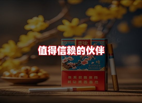 专业团队